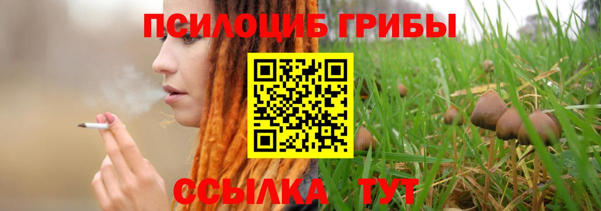 Белорецк  Псилоцибиновые грибы Psilocybe  Вход с VPN  Галлюциногенные грибы мухоморы 